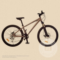 Damen-Mountainbike