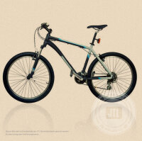 Herren-Mountainbike